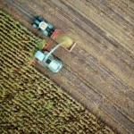 AI in agriculture