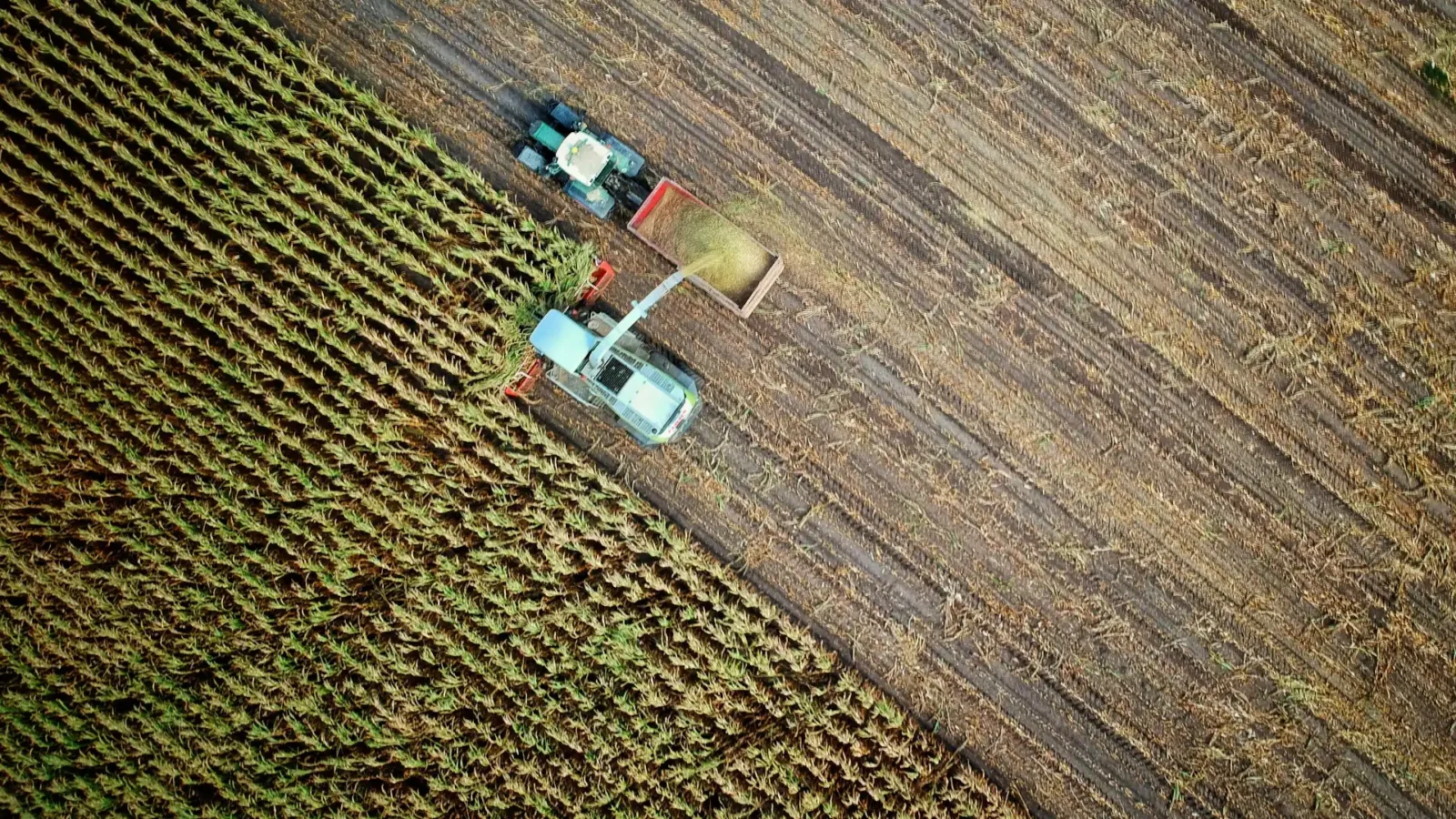 AI in agriculture