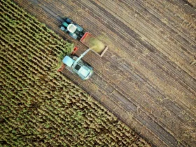 AI in agriculture