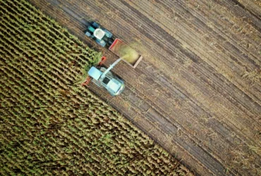 AI in agriculture